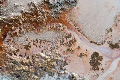 Conection by Petra Meikle de Vlas multi panel art