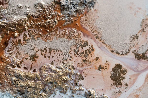 Petra Meikle de Vlas: Conection by Petra Meikle de Vlas