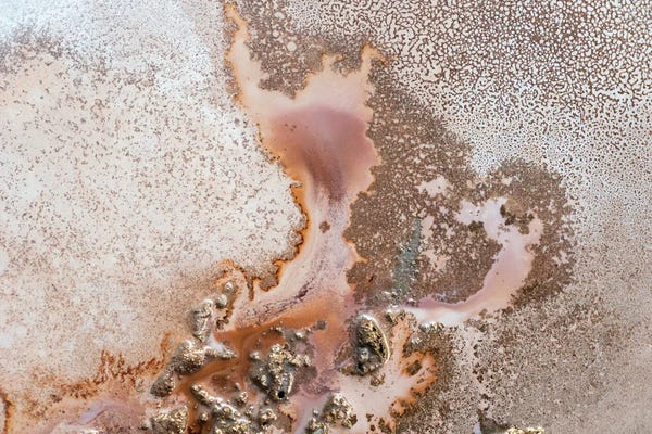 Petra Meikle de Vlas: Discovery by Petra Meikle de Vlas