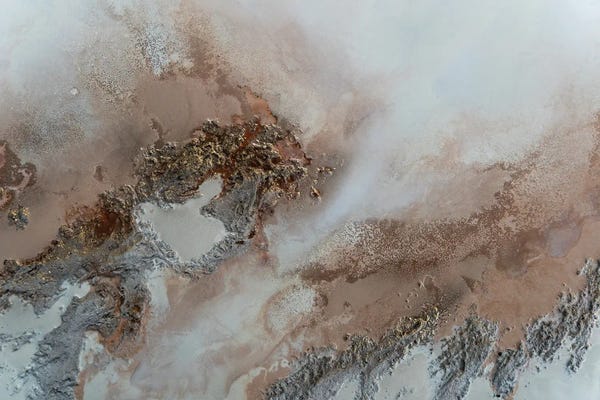 Petra Meikle de Vlas: Encounter by Petra Meikle de Vlas