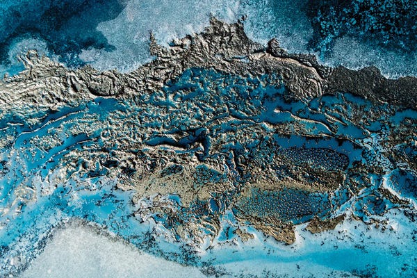 Petra Meikle de Vlas: Ocean Life by Petra Meikle de Vlas