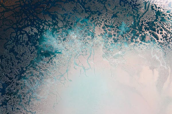 Petra Meikle de Vlas: Flourish by Petra Meikle de Vlas