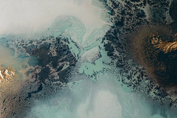 Petra Meikle de Vlas: Transition by Petra Meikle de Vlas