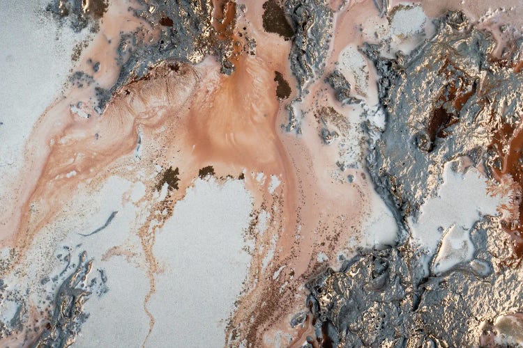 Unearting by Petra Meikle de Vlas wall art