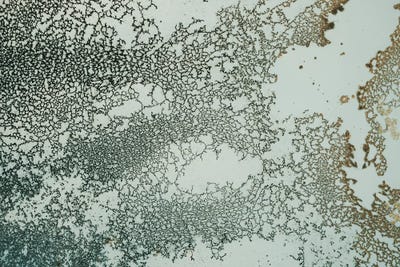 Synchronize by Petra Meikle de Vlas multi panel art