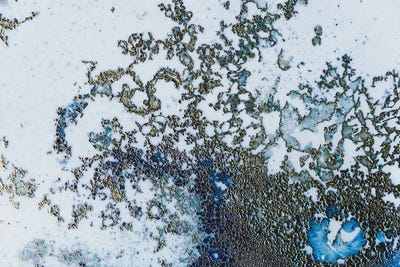 Coral Rising by Petra Meikle de Vlas multi panel art