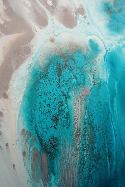 Petra Meikle de Vlas: Coral Sea Flow I by Petra Meikle de Vlas