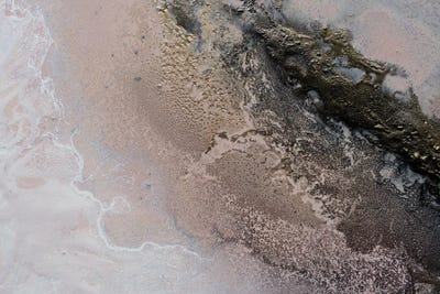 Sunkissed by Petra Meikle de Vlas canvas print