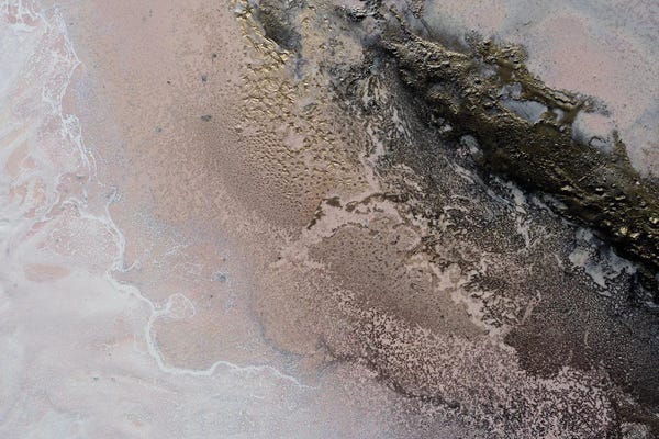 Petra Meikle de Vlas: Sunkissed by Petra Meikle de Vlas