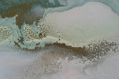 Drifting Shallows by Petra Meikle de Vlas multi panel art