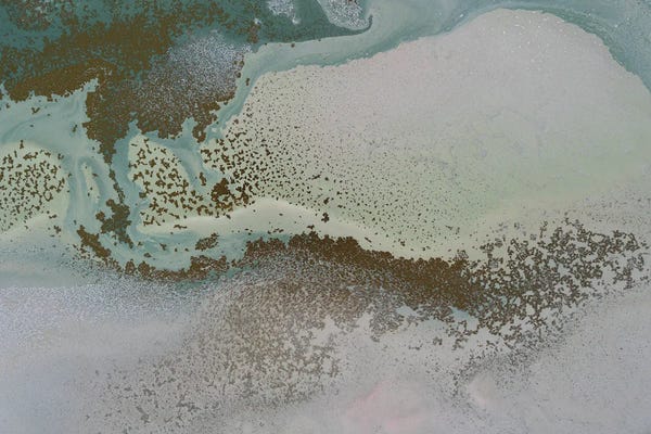 Petra Meikle de Vlas: Drifting Shallows by Petra Meikle de Vlas