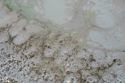 Life And Souls by Petra Meikle de Vlas canvas print