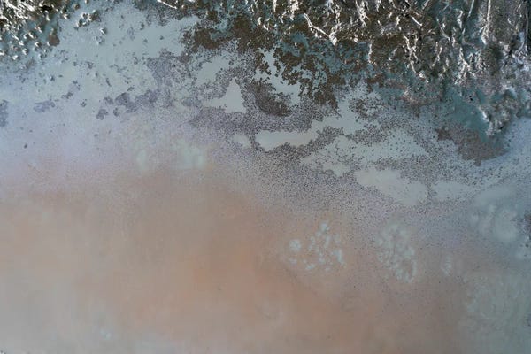 Petra Meikle de Vlas: Moon Rise by Petra Meikle de Vlas