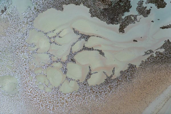 Petra Meikle de Vlas: Shifting by Petra Meikle de Vlas