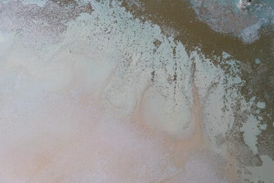 Shimmer Of Dawn by Petra Meikle de Vlas framed wall art