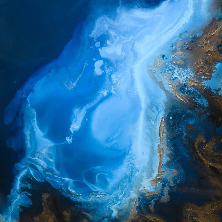 Midnight Blue by Petra Meikle de Vlas wall art