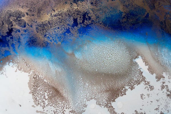 Petra Meikle de Vlas: Turning Tides by Petra Meikle de Vlas