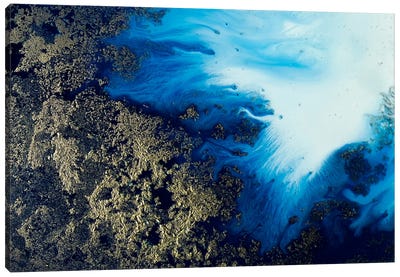 Navy Shimmer Canvas Art Print - Petra Meikle de Vlas