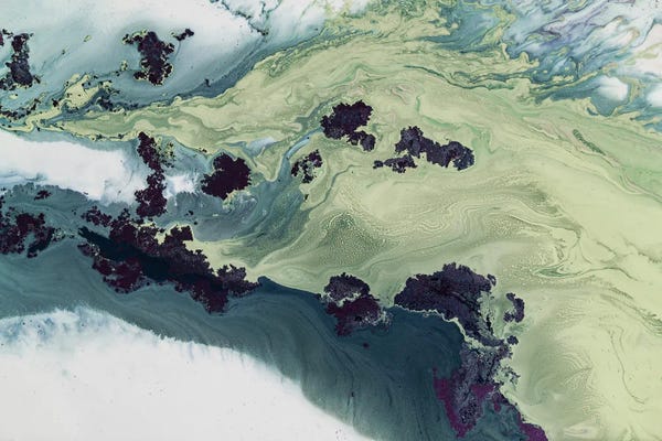 Petra Meikle de Vlas: Untouched Estuarys by Petra Meikle de Vlas