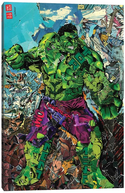 The Incredible Bruce Banner Hulk Canvas Art Print - Comic Book Character Art