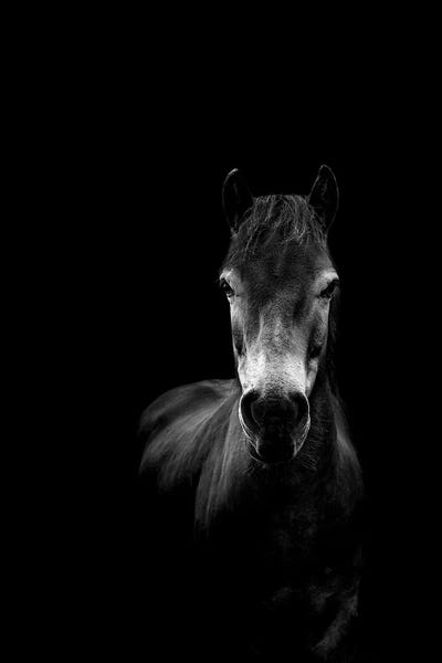 Essence by Paul Neville framed wall art