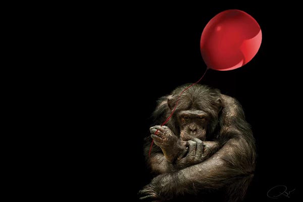 Balloons: Girl With Red Balloon by Paul Neville