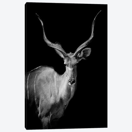 Kudu I Canvas Print #PNE21} by Paul Neville Art Print