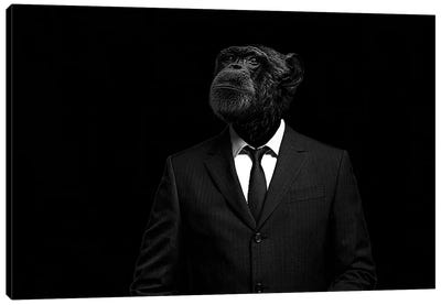 The Interview Canvas Art Print - Chimpanzees