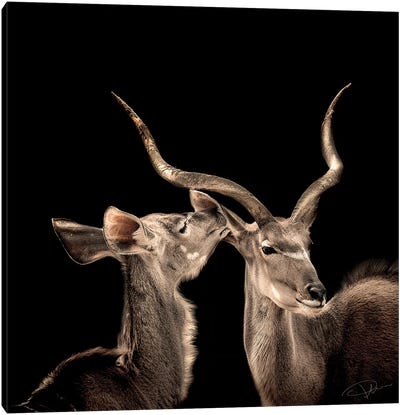 The Lovers Canvas Art Print - Sepia Photography