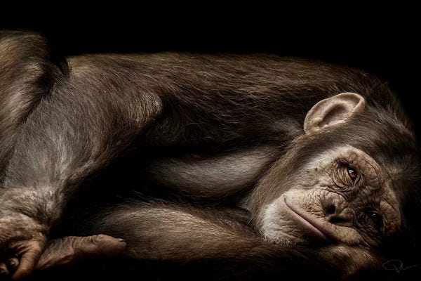 Sepia Photography: The Teenager by Paul Neville