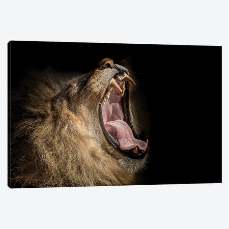 The War Cry Canvas Print #PNE58} by Paul Neville Canvas Artwork