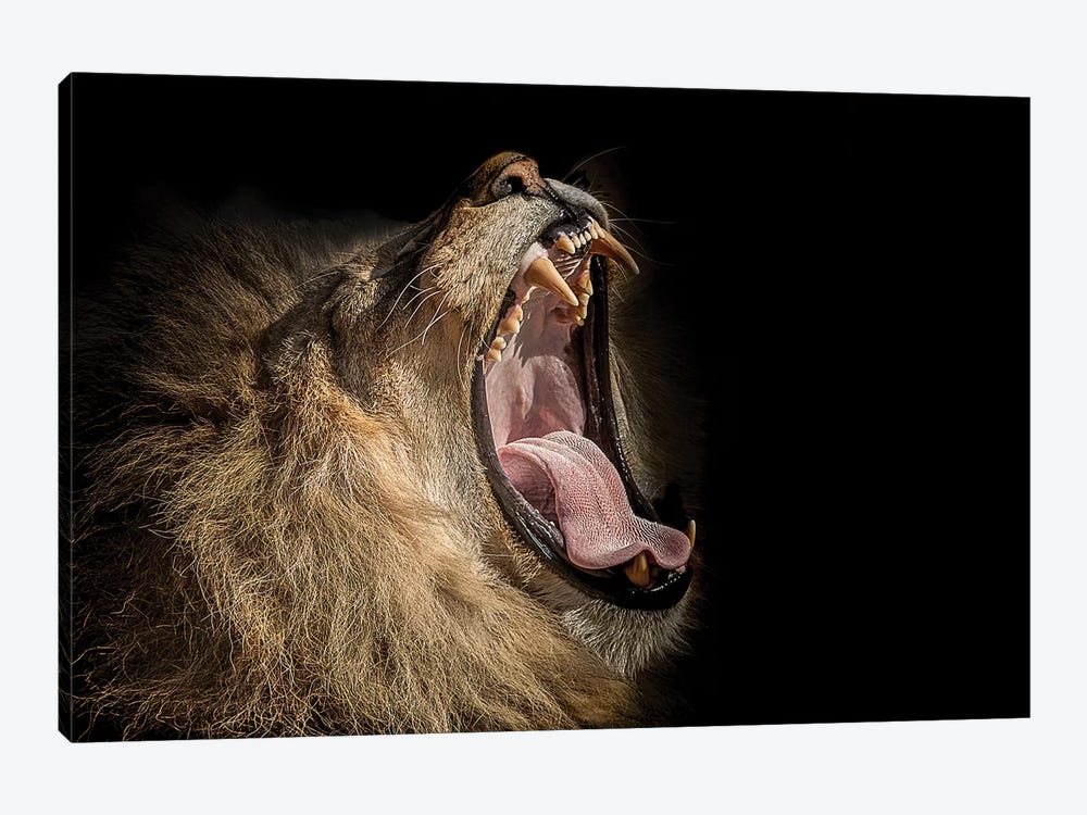 The War Cry by Paul Neville 1-piece Canvas Art