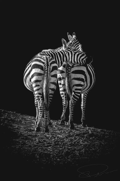 You Got A Friend In Me by Paul Neville art print