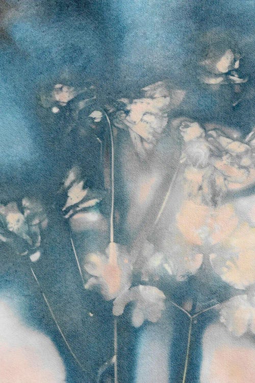Columbine II Peach Blue by Pernille Folcarelli wall art