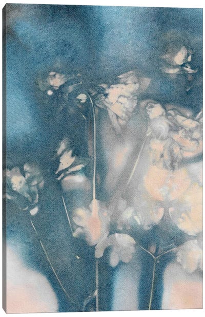 Columbine II Peach Blue Canvas Art Print