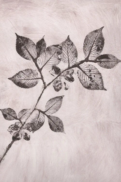 Elm I Brown by Pernille Folcarelli wall art