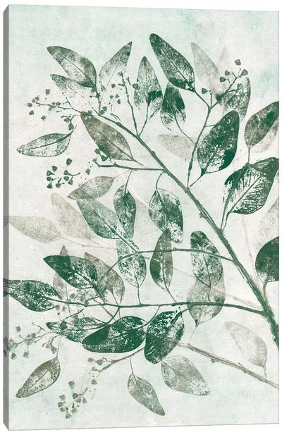 Eucalyptus I Green Canvas Art Print