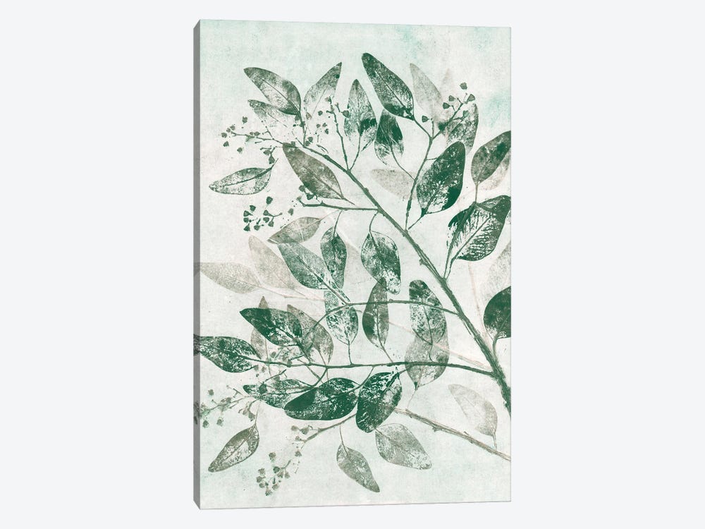 Eucalyptus I Green by Pernille Folcarelli 1-piece Canvas Art