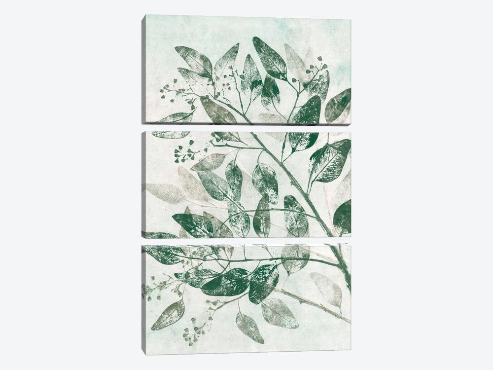 Eucalyptus I Green by Pernille Folcarelli 3-piece Canvas Art