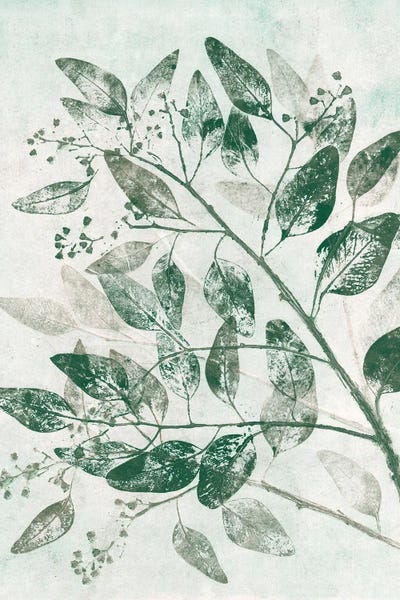 Pernille Folcarelli: Eucalyptus I Green by Pernille Folcarelli