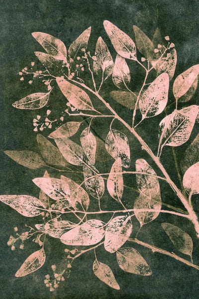 Eucalyptus I Moss Blush by Pernille Folcarelli art print