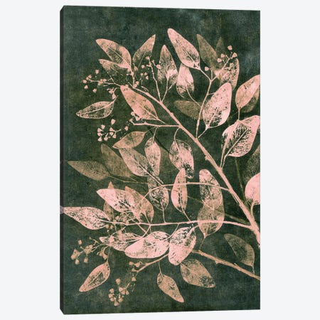 Eucalyptus I Moss Blush Canvas Print #PNF13} by Pernille Folcarelli Canvas Art Print