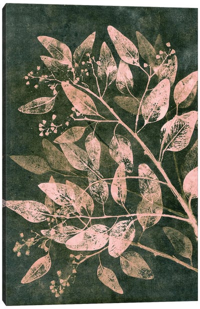 Eucalyptus I Moss Blush Canvas Art Print