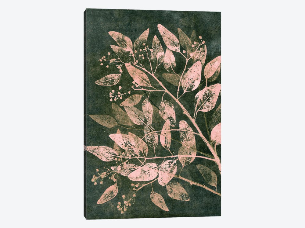 Eucalyptus I Moss Blush by Pernille Folcarelli 1-piece Canvas Print