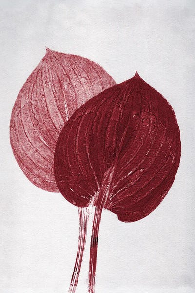 Pernille Folcarelli: Hosta II Bordeaux by Pernille Folcarelli