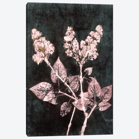 Lilac I Blush Dark Green Canvas Print #PNF17} by Pernille Folcarelli Canvas Artwork