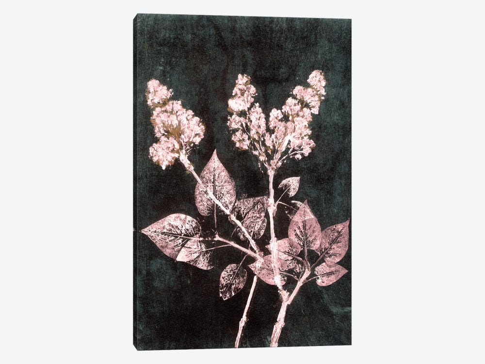 Lilac I Blush Dark Green by Pernille Folcarelli 1-piece Art Print