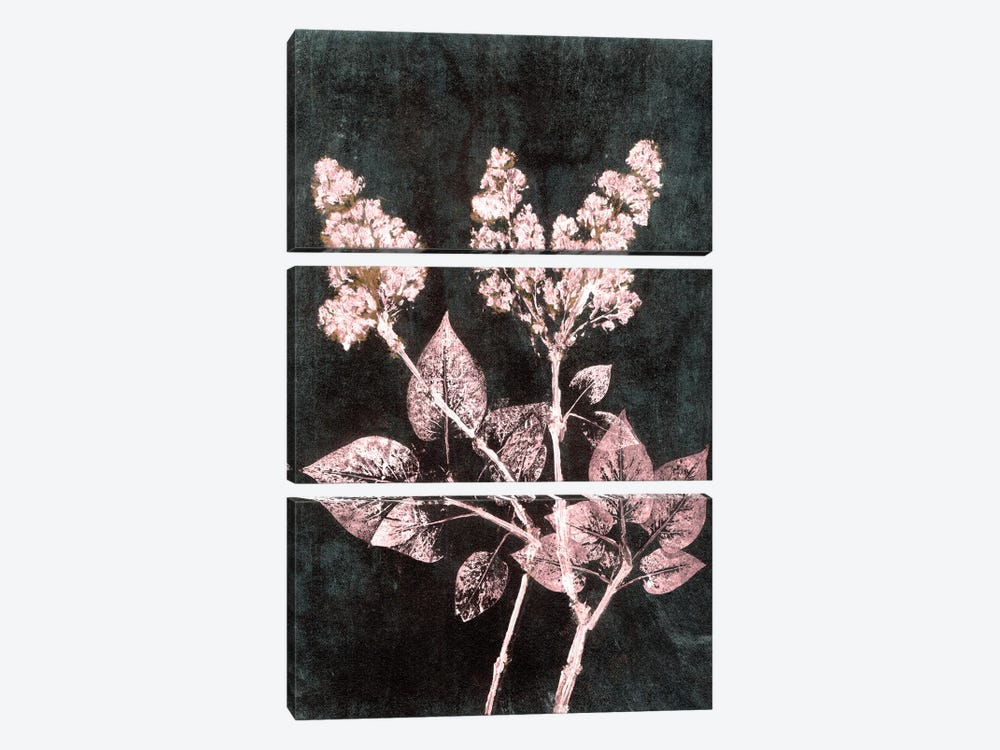 Lilac I Blush Dark Green by Pernille Folcarelli 3-piece Canvas Art Print