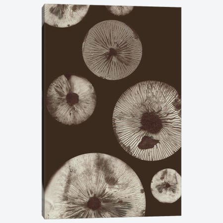 Mushroom V Dark Brown Canvas Print #PNF18} by Pernille Folcarelli Canvas Print