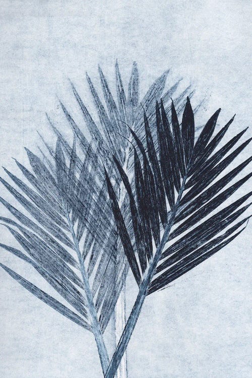 Palm IV Blue